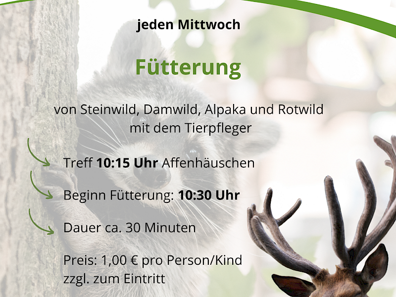 Fütterung Oktober